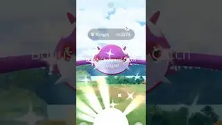 ✨Shiny Kyogre CAUGHT In Pokemon Go!✨ #shorts #pokemon