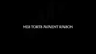 S.Pri Noir - Mes torts avaient raison (Visualizer)