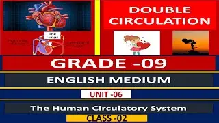 Double Circulation .... Grade -09 /11 / AL -Biology - இரட்டை  குருதி சுற்றோட்டம்  தெரியுமா?? -