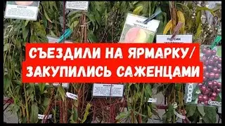 #197КУПИЛИ