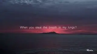 Abe Parker - Butterflies // Lyrics Video  #Shorts