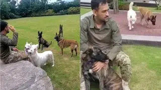 MAHENDRA SINGH DHONI UNCONDITIONAL LOVE FOR HIS PET DOGS | MS DHONI | MS DHONI PET DOG COLLECTION