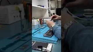 Как переписывают True Tone | На примере IPHONE 11
