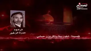 شلون بية وثكل وزن حسابي | ملا حمزة الزغير