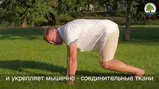 Тренировка осознанности через позицию 