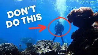 SAFELY Reach the Surface with These Scuba Diving Hacks!