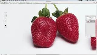 Intro to Photoshop: Magic Wand, Quick Selection and Object Selection Tools