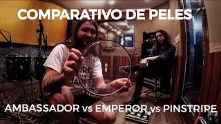 Peles de bateria - Ambassador vs Emperor vs Pinstripe