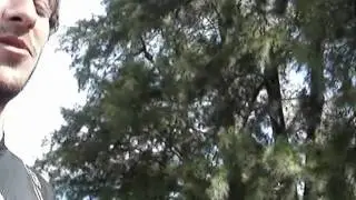 Todo Roda