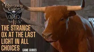 The strange ox at the last light in all choices and outcomes - Baldur's Gate 3