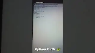 Python Turtle 🐢 part-1