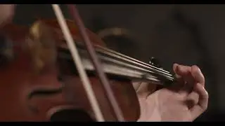 Футаж. Скрипка - любимый инструмент 