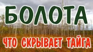 БОЛОТА РОССИИ. Виды болот. Болото стихия. Видео-очерк с болот, погуляем