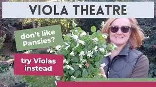 Planting Violas | creating a Viola Theatre