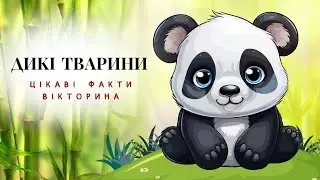ДИКІ ТВАРИНИ: цікаві факти. Вікторина для малечі на каналі @Piznaikoua