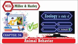 Animal Behavior: The Quiz Show!