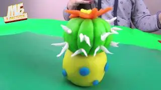 ЛЕПИМ КАКТУС И ОТКРЫТКУ 