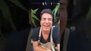 Errei tudo 😂😂😂