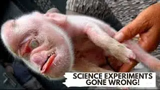 10 CRAZIEST Animal Mutations you've NEVER Seen!