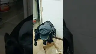 У Курского вокзала стою я молодой Подайте Христа ради червонец золотой