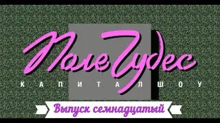 Поле Чудес : Выпуск семнадцатый