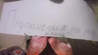 День Торы - Видеоблогера.......Неудача....