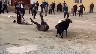 #goat vs goat #human vs human #funny #laugh