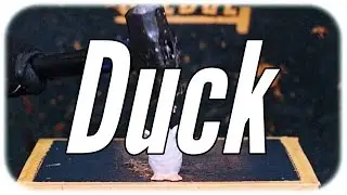 Sledgehammer vs Duck in Slow Motion! - SLEDGE