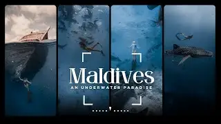 The Maldives: An Underwater Paradise