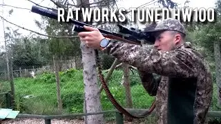 Pushing The Range - Day Time Pigeon Shooting and Night Vision Rabbiting