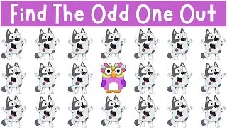 Find The Odd One Out: Bluey & Bingo's Friends