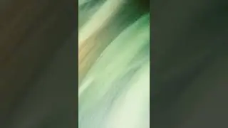 при Рене по рог игор цен как во за её