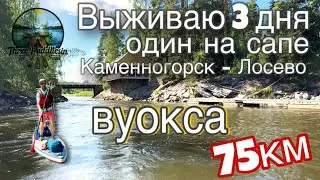 Одиночный сплав Каменногорск - Лосево на сапборде 75км. Незабываемое приключение августа.