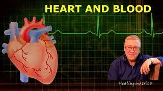 Matrix Garyaeva Healing of the Heart and the Entire Circulatory System