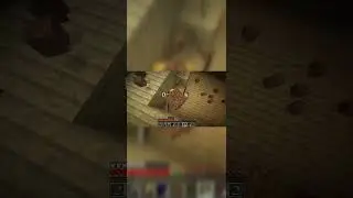 ШАППИ СНИМАЙ 
