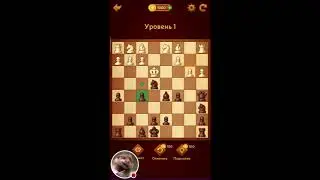 iPhone 12. Тест батареи при стриме на youtube. Игра в шахматы.