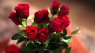 Neat Video Demo 1080p Canon 100D
