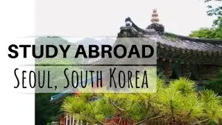 Yonsei International Summer School - a recap