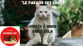 « LE PARADIS DES CHATS » Émile ZOLA - Conte