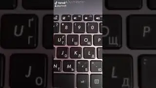 °•Tik Tok в руки и погнали деградировать•°