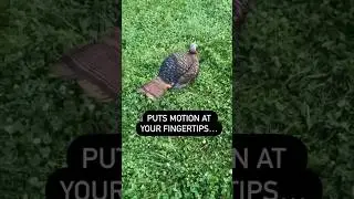 🤯Ultimate Game Changer! 🦃 How to Add Decoy Motion #hunting #turkeyhunting #turkeydecoy