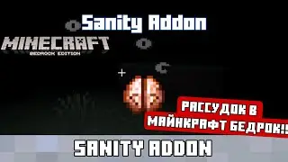 SANITY ADDON | Аддон на психическое здоровье в майнкрафт бедрок 1.21+!!!