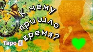 К чему пришло Время?⏳