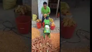 maize sheller