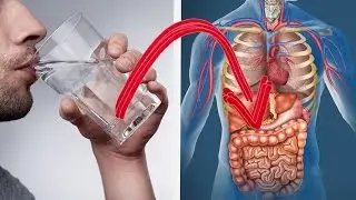 Los BENEFICIOS de beber AGUA Por 30 Días Seguidos