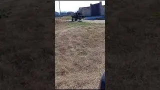 7 сентября 2024 г.