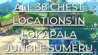 All 38 Chest Locations In Lokapala Jungle Sumeru | Chest Guide - Genshin Impact