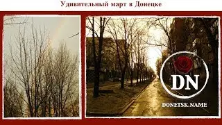 Удивительный март в Донецке