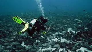 Fakarava, French Polynesia