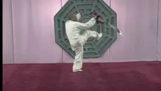 Cheng BaGua Saber Master Sun